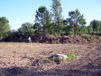 LL09  lots of brush was cleared