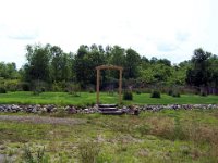 OF05  there are 40 fruit and nut trees in the orchard